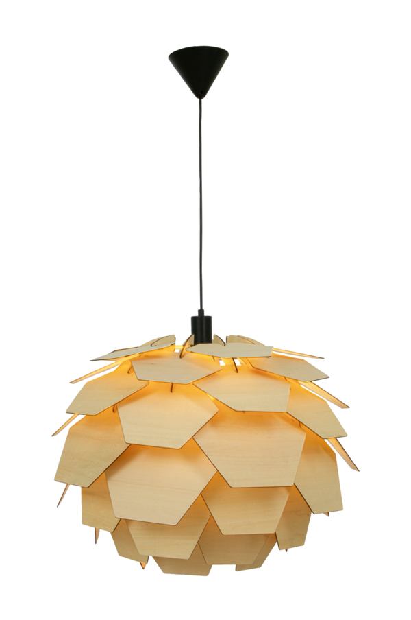 Bilde av Taklampe CARPATICA - 1
