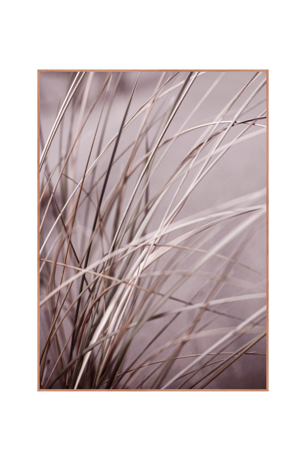 Bilde av Bilde Spec. Mellow grasses 1 - 1
