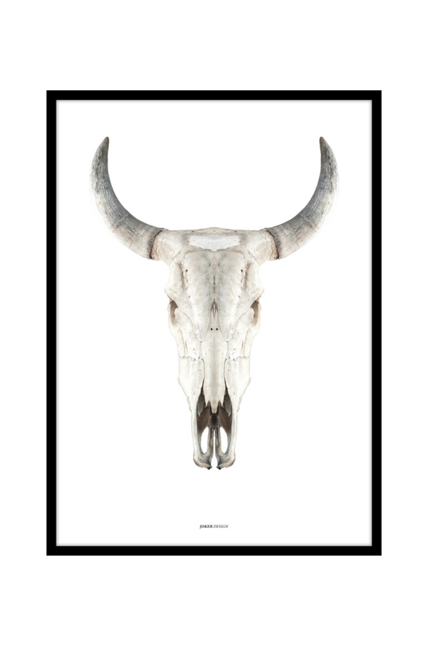 Bilde av Poster Cow skull - 1

