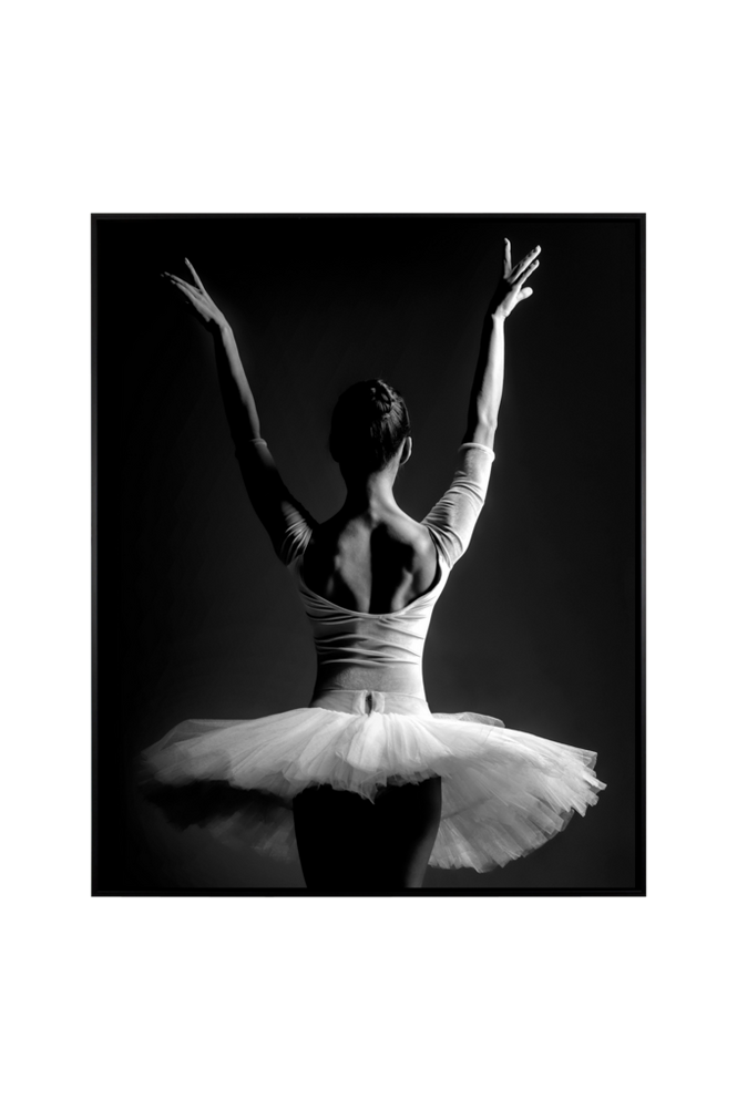 Malerifabrikken Tavla Photo Ballet