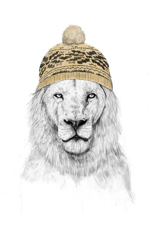 Bilde av Poster Winter Lion - 1
