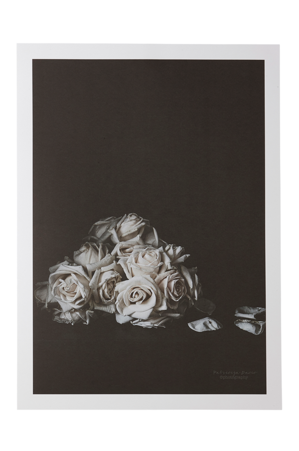 Bilde av FADED ROSES poster 50x70 cm - 30151
