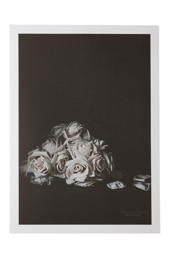 FADED ROSES poster 50×70 cm