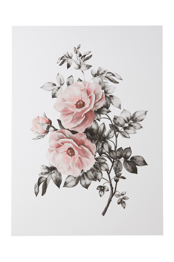 Bilde av SPRING FLOWER poster 50x70 cm - 30151
