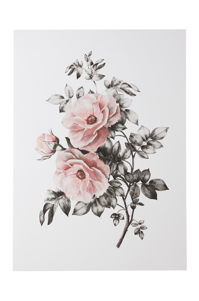 SPRING FLOWER poster 50×70 cm