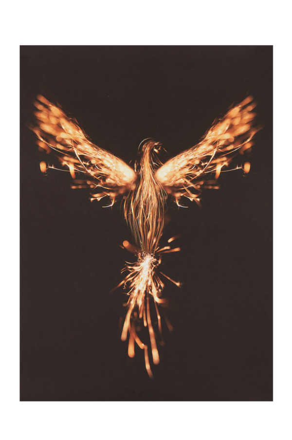 Bilde av FENIX poster 50x70 cm - 30151
