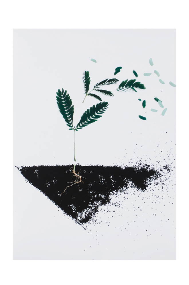 Bilde av GROWING poster 50x70 cm