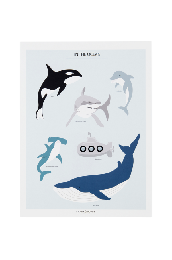 Bilde av MARINE LIFE poster 30x40 cm - 30151
