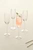 MAXIM champagneglass 4-pk Transparent