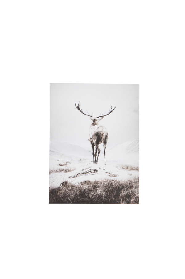 Bilde av DEER VIEW poster 30x40 cm - 30151
