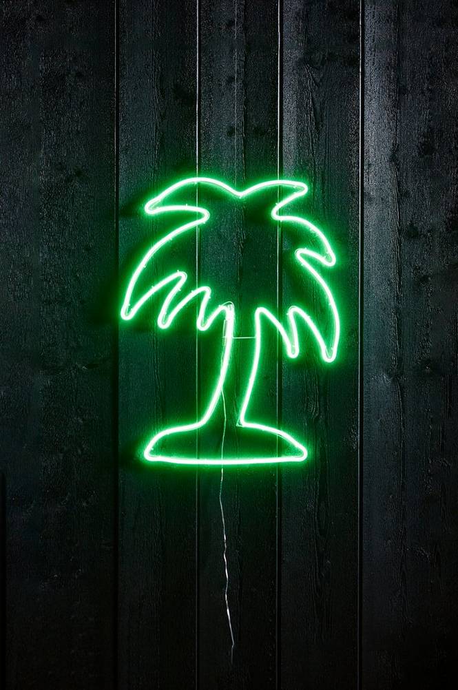 SILUETT FLATNEON palm