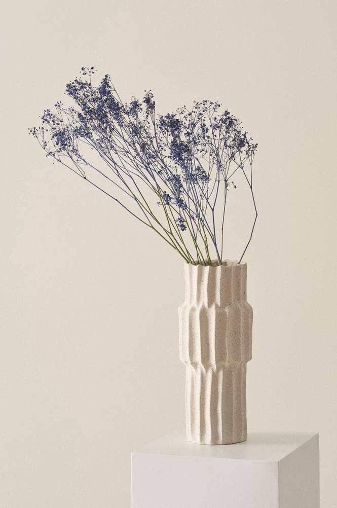 Gypsophila Blå färgad Blå