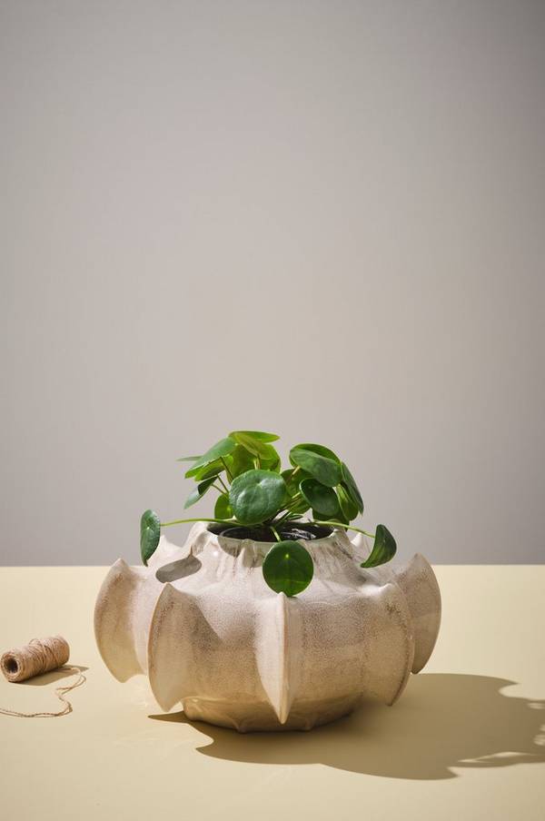Bilde av ROGUE vase/potte - høyde 21 cm - 1

