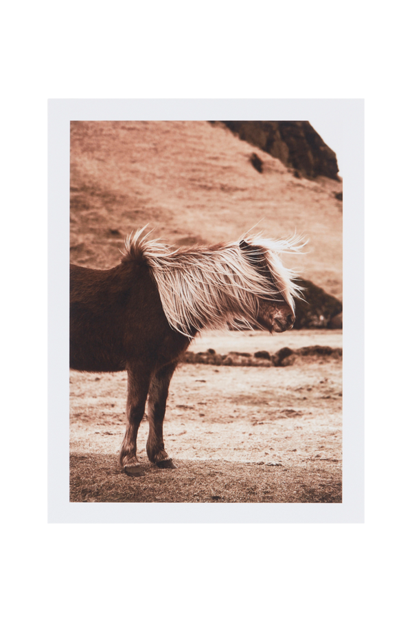 Bilde av HORSIE poster 30x40 cm - 1
