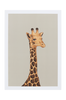 GIRAFFE juliste 50x70 cm