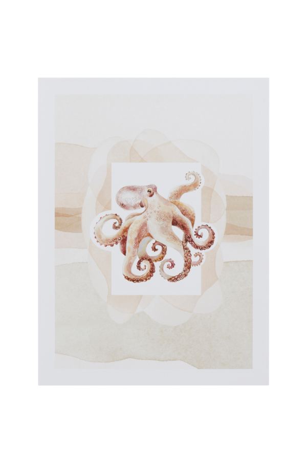 Bilde av OCTOPUS poster 30x40 cm - 1
