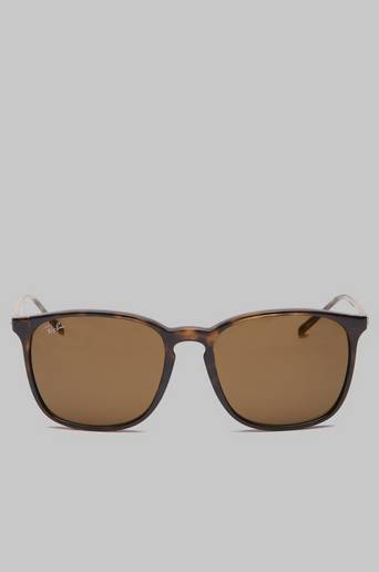 Ray-Ban Solglasögon RB4387 Brun