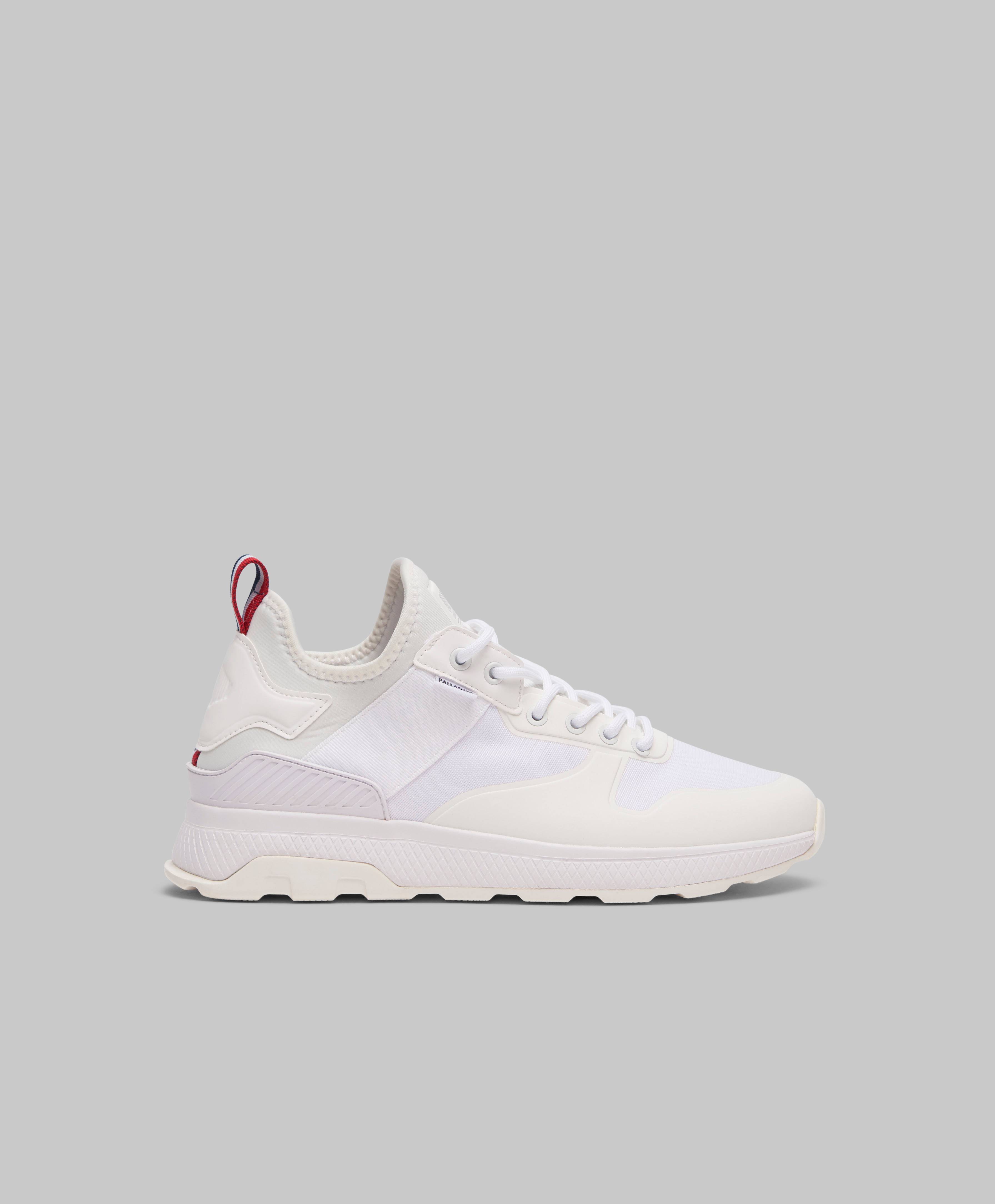 palladium amphibian