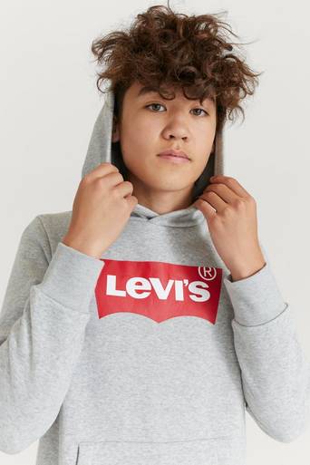 Levi's Sweatshirt LVB Batwing Screenprint Hoodie Grå