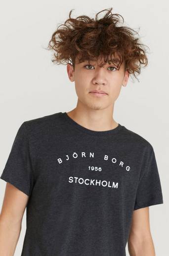 Björn Borg T-Shirt Sthlm T-Shirt Grå