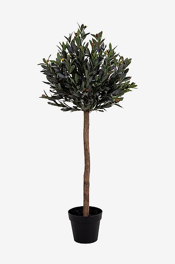 Krukväxt Olive, konstgjord, H120 cm