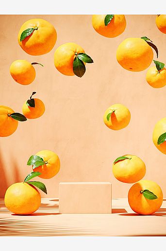 Venture Home Poster Lemons