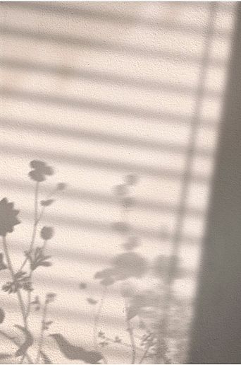 Venture Home Poster Flower shadow
