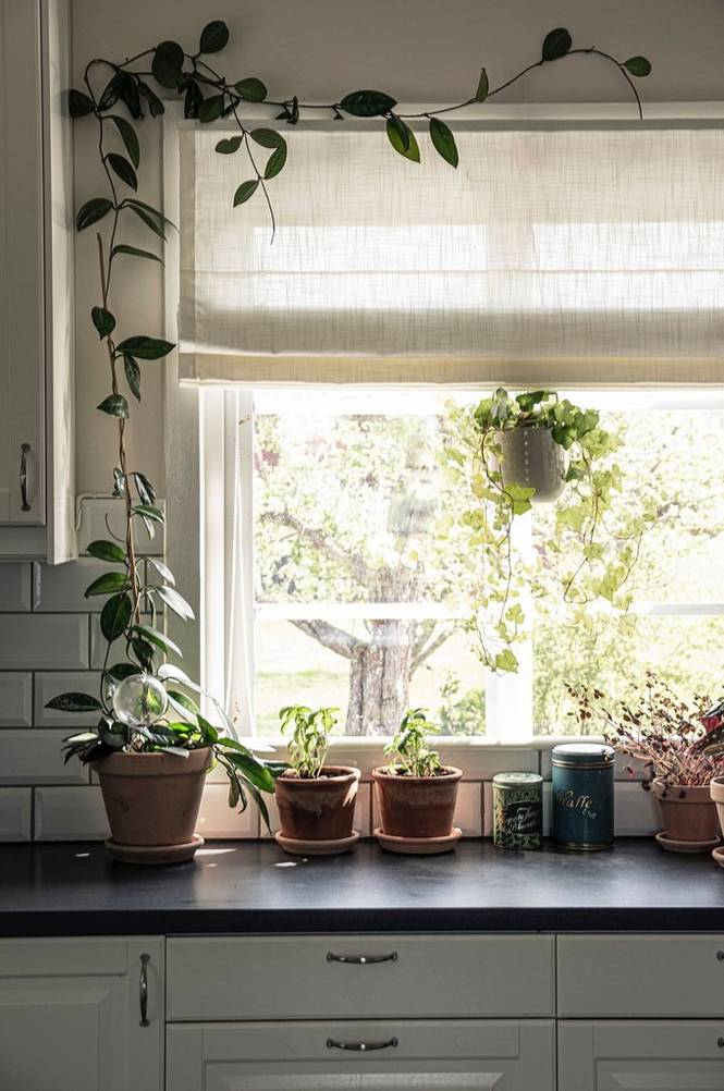 Liftgardin Lina