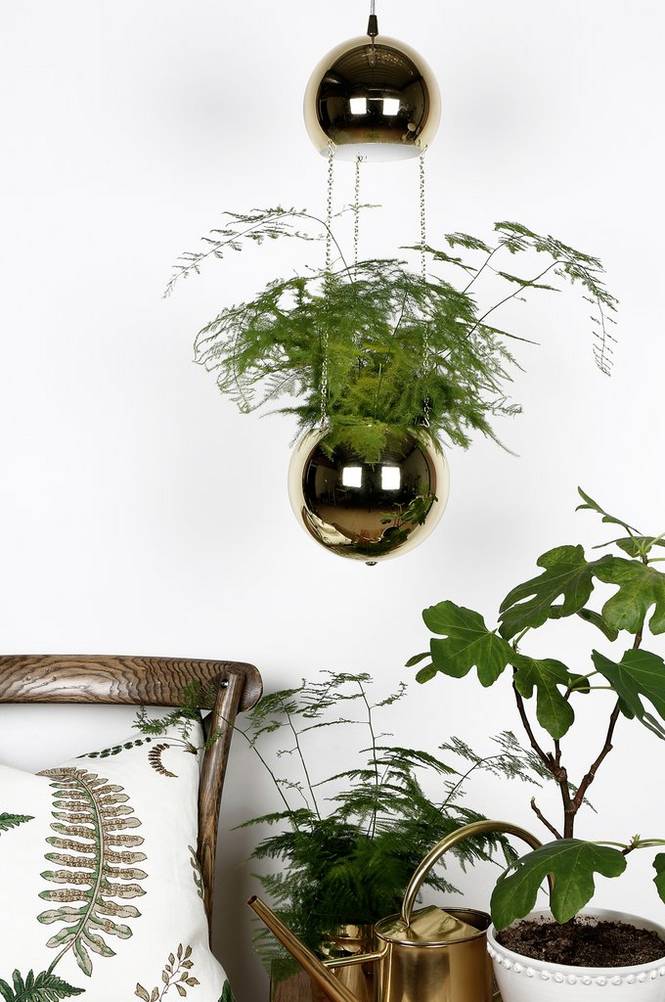 Fönsterlampa Planter