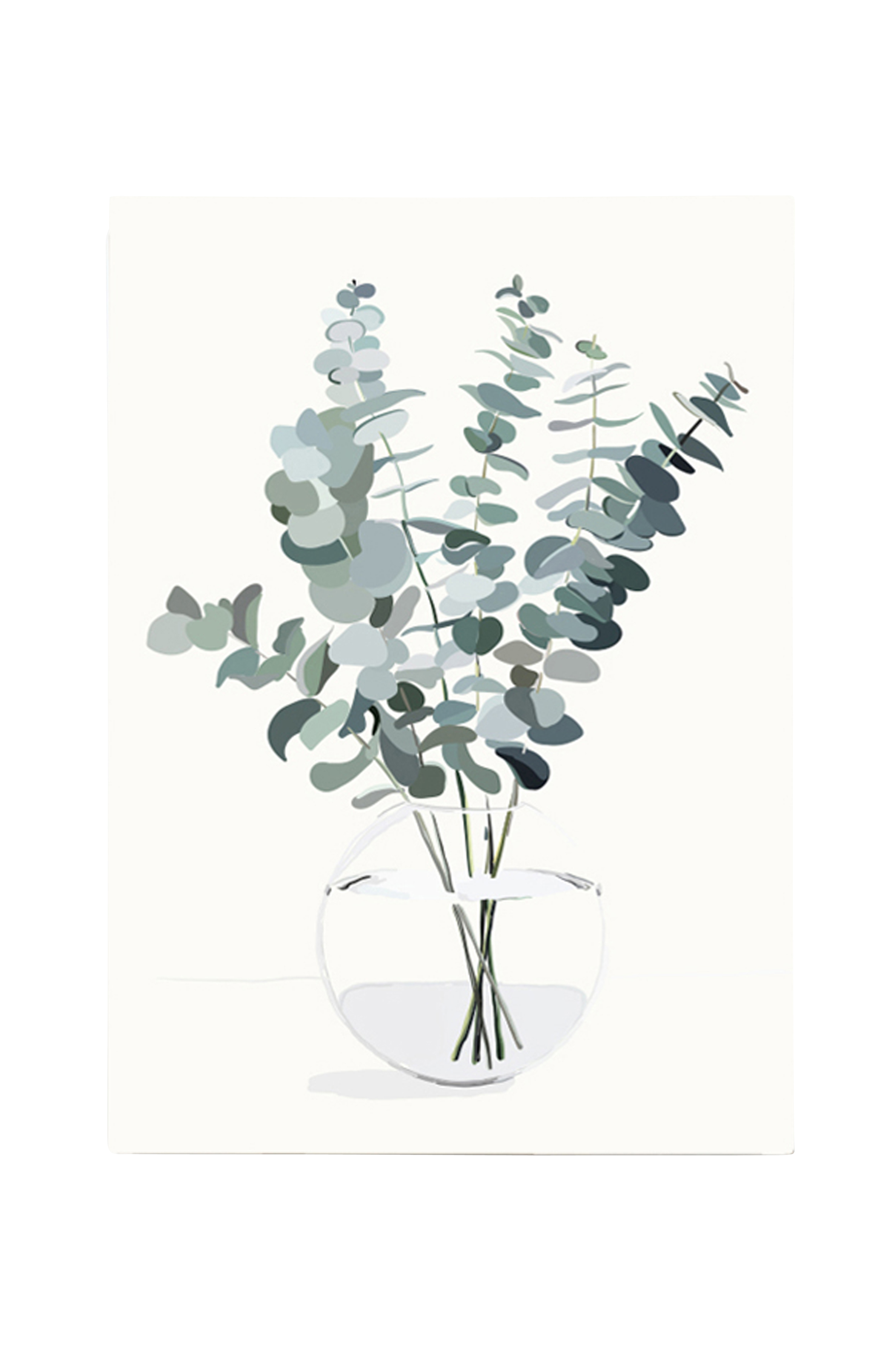 Poster Eucalyptus A3 Multi Dekoration Homeroom