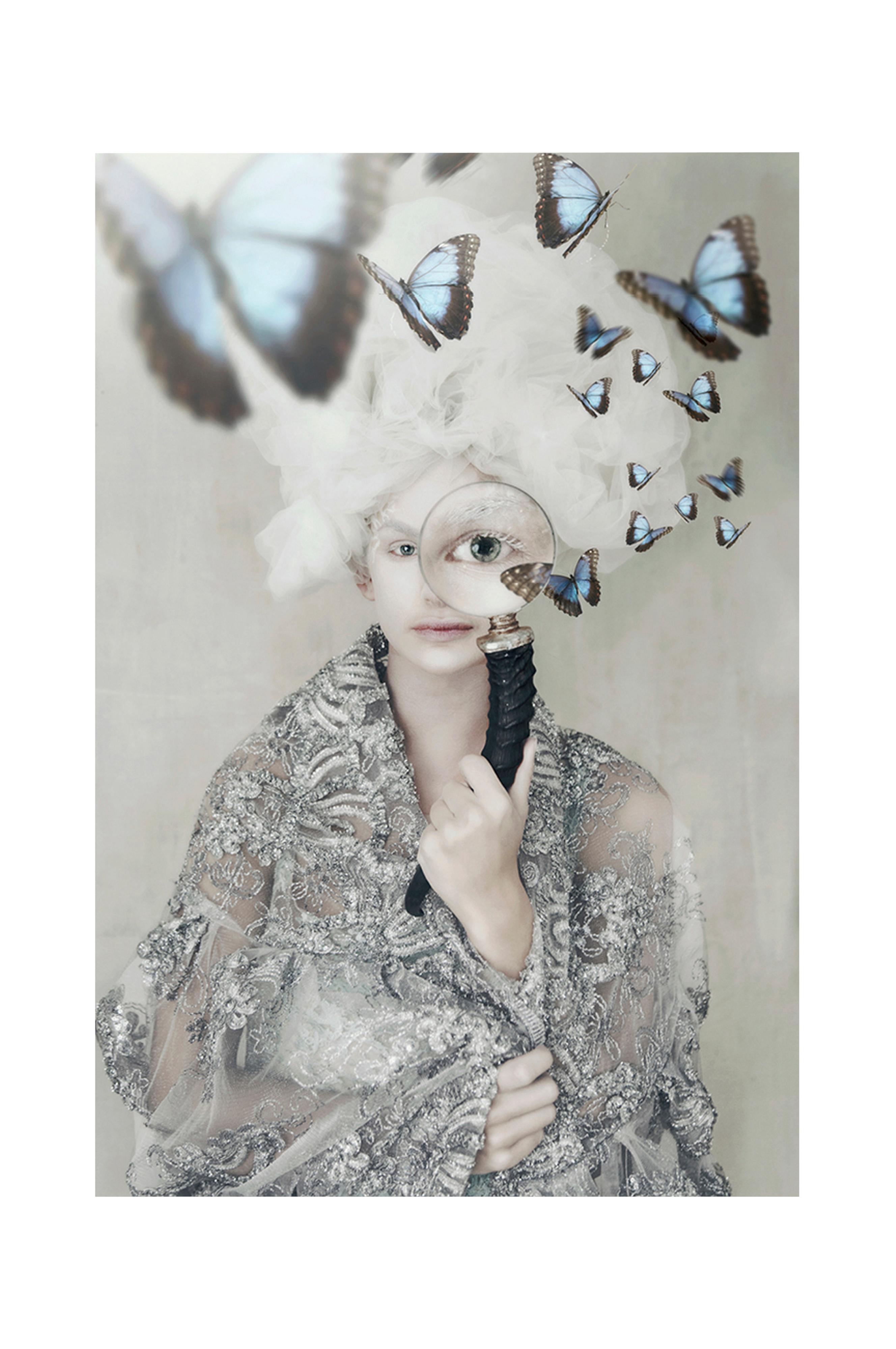 Tove Frank Plakat Butterfly Spy - Multi - Posters Ellos.dk