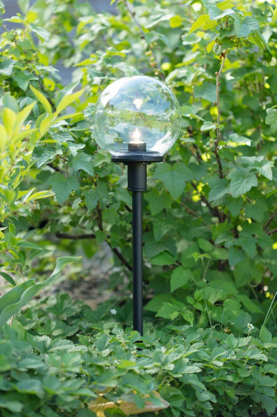 Markslöjd Pollare GARDEN 24, svart från Markslöjd, bild 5
