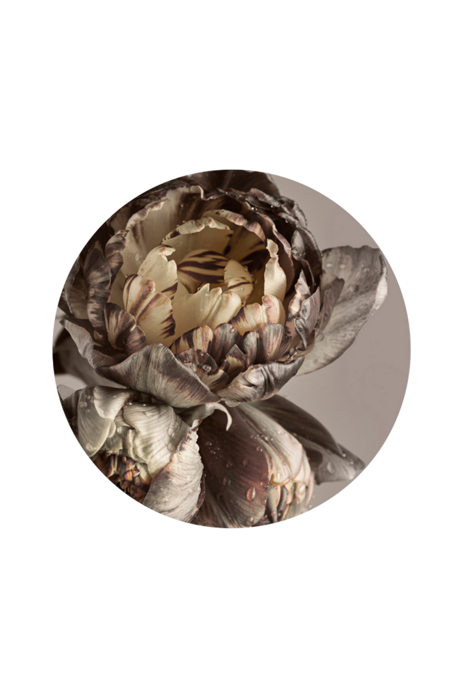 Bilde Baroque 4