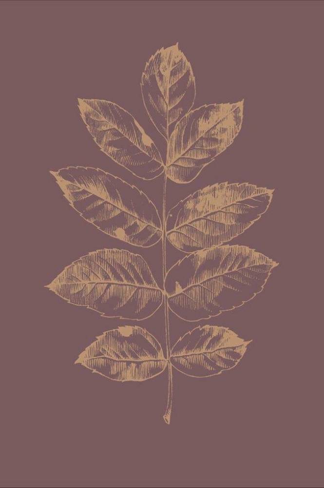 Poster Botanica 2