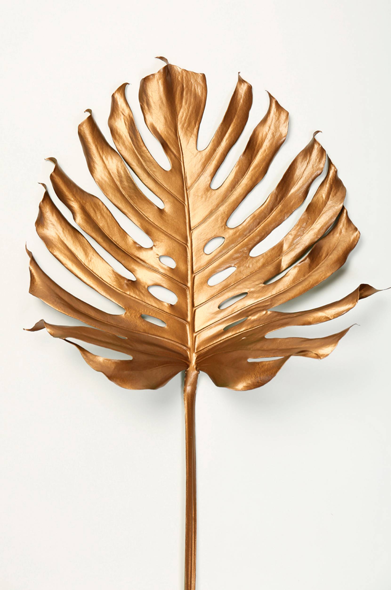 Malerifabrikken - Poster Monstrea gold leaf - Guld