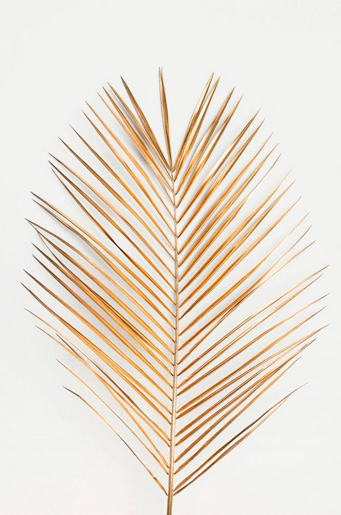 Poster Palm leaf gold
