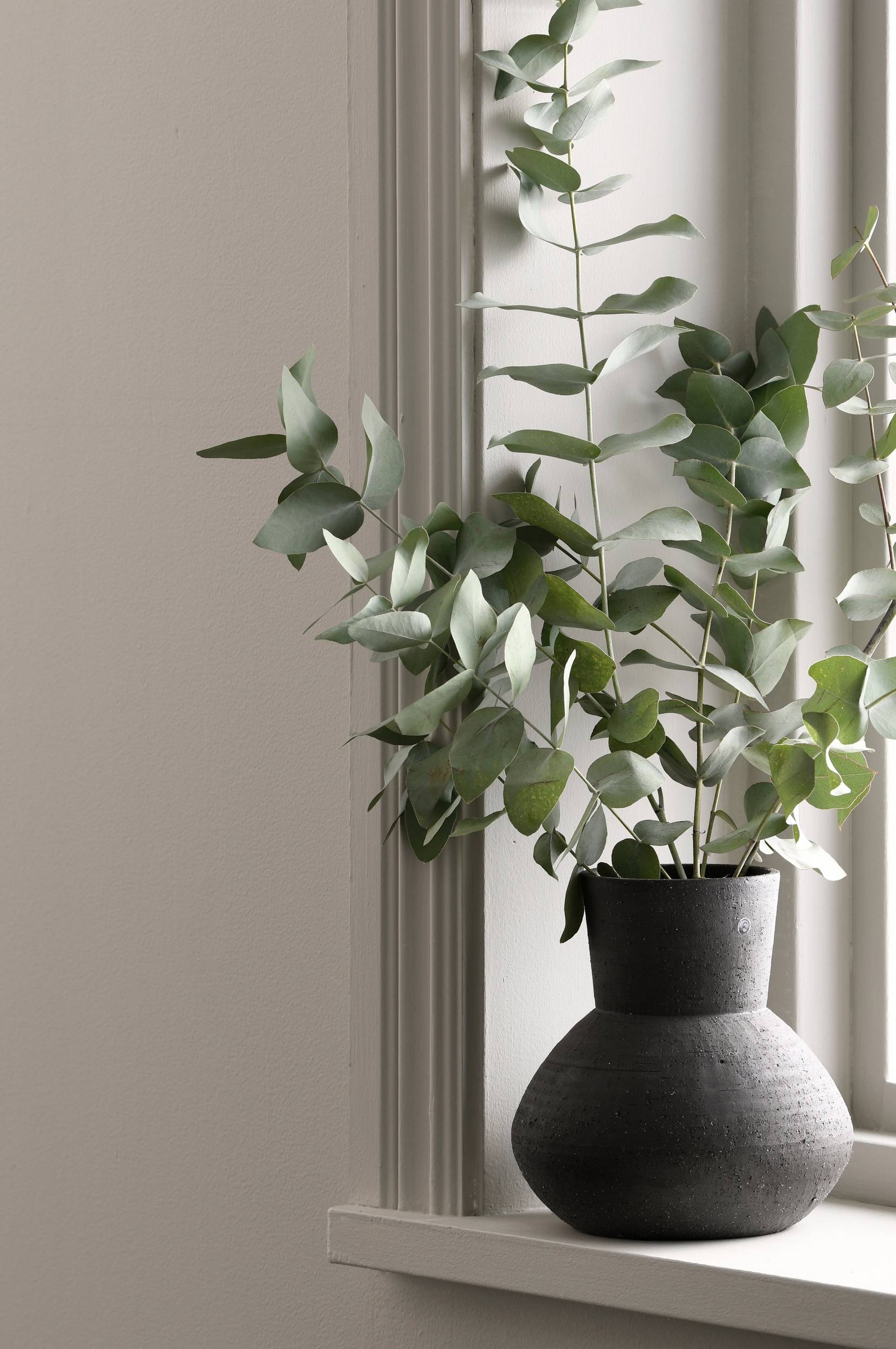 House of Flowers - Eucalyptus Cinerea - Grøn