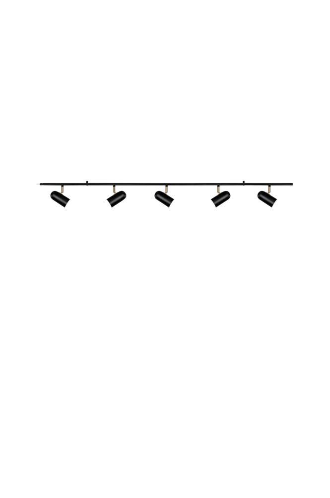 Plafondi Swan 5
