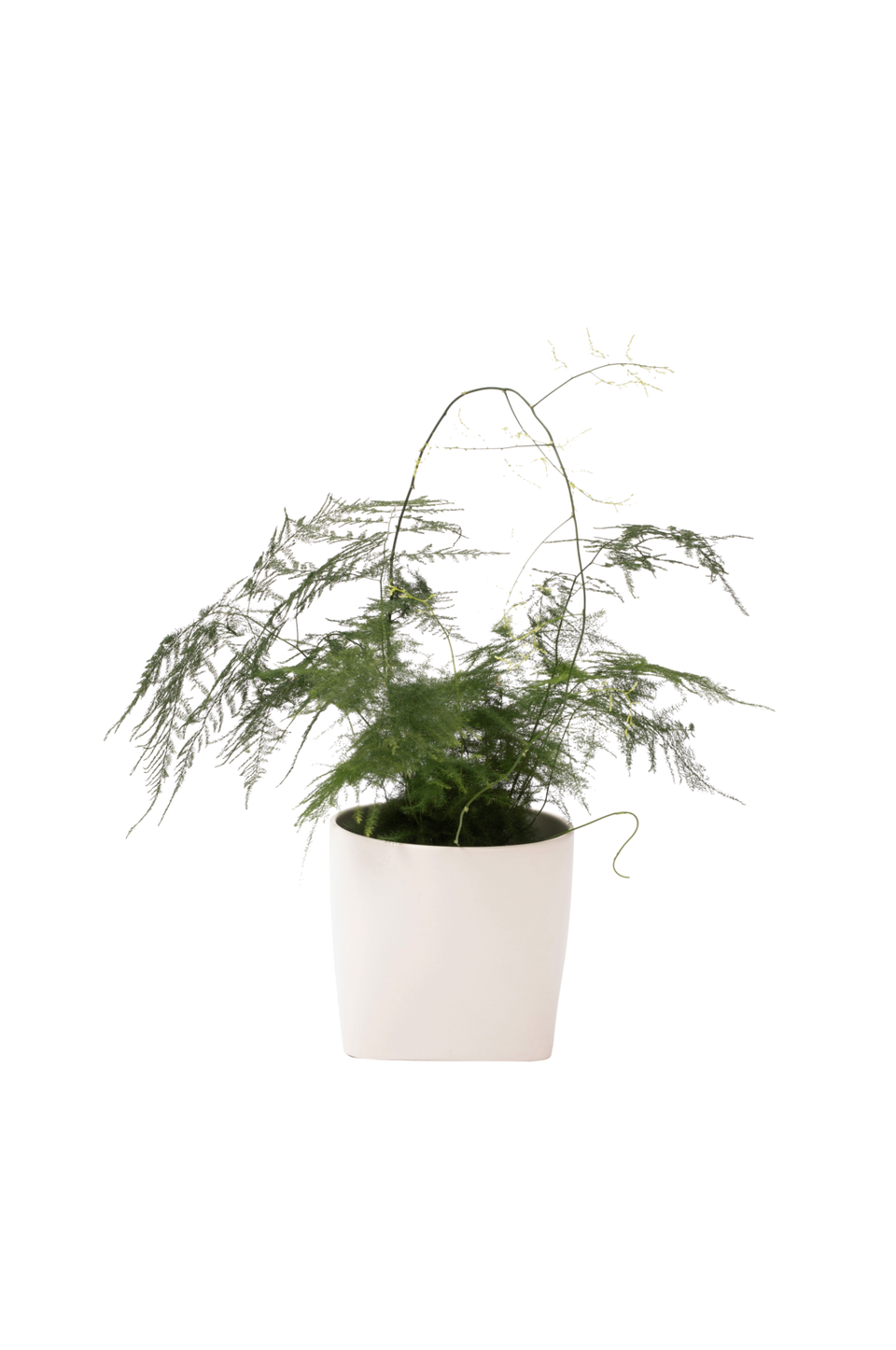 Markslöjd Somma kruka 14 cm, vit från Markslöjd, bild 5
