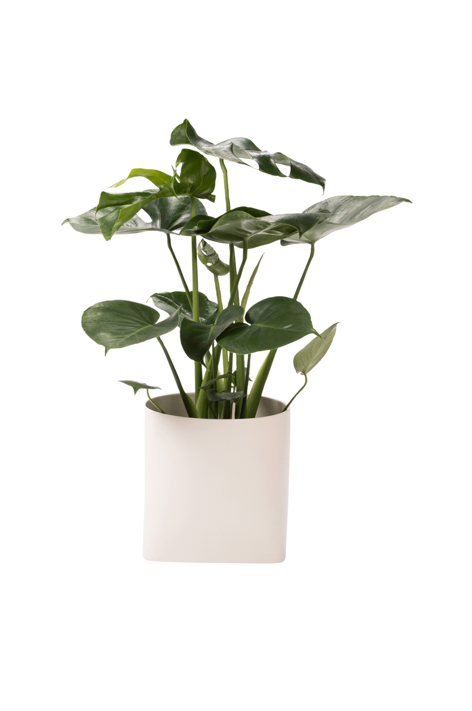 Markslöjd Somma kruka 20 cm, vit från Markslöjd, bild 5