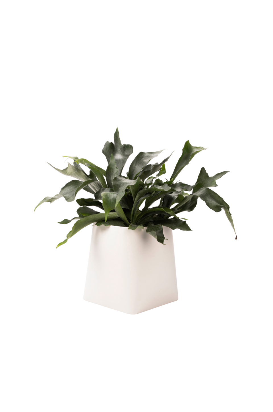 Markslöjd Somma kruka 31 cm, vit från Markslöjd, bild 5