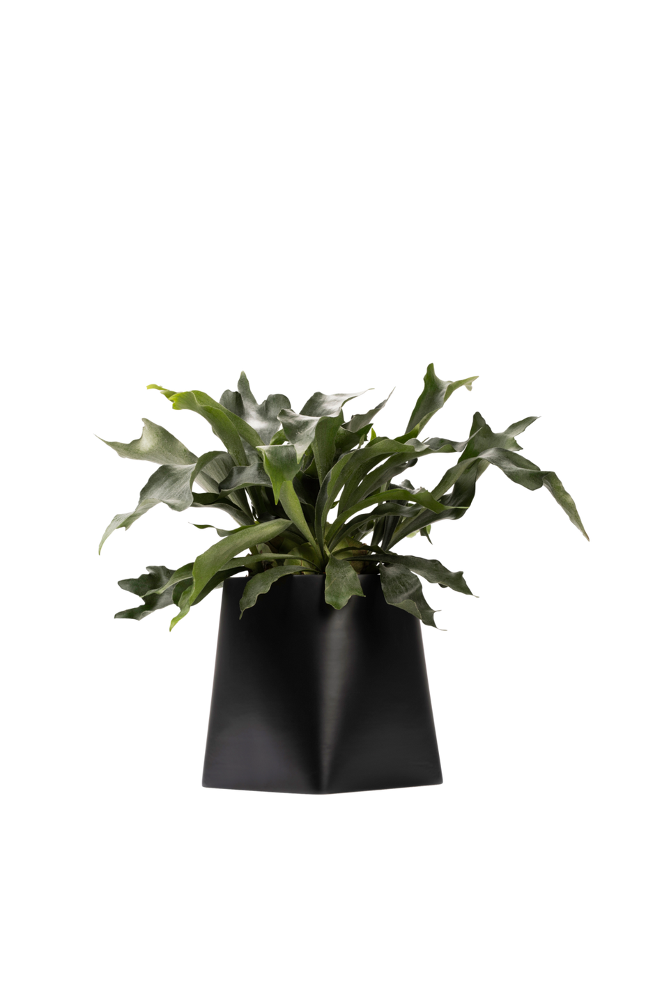 Markslöjd Somma kruka 31 cm, svart från Markslöjd, bild 5