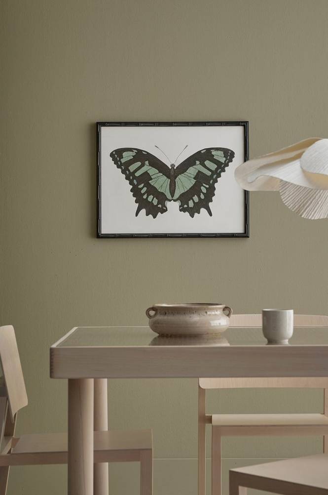 Tavla Vs Beautiful Butterfly ll+lll