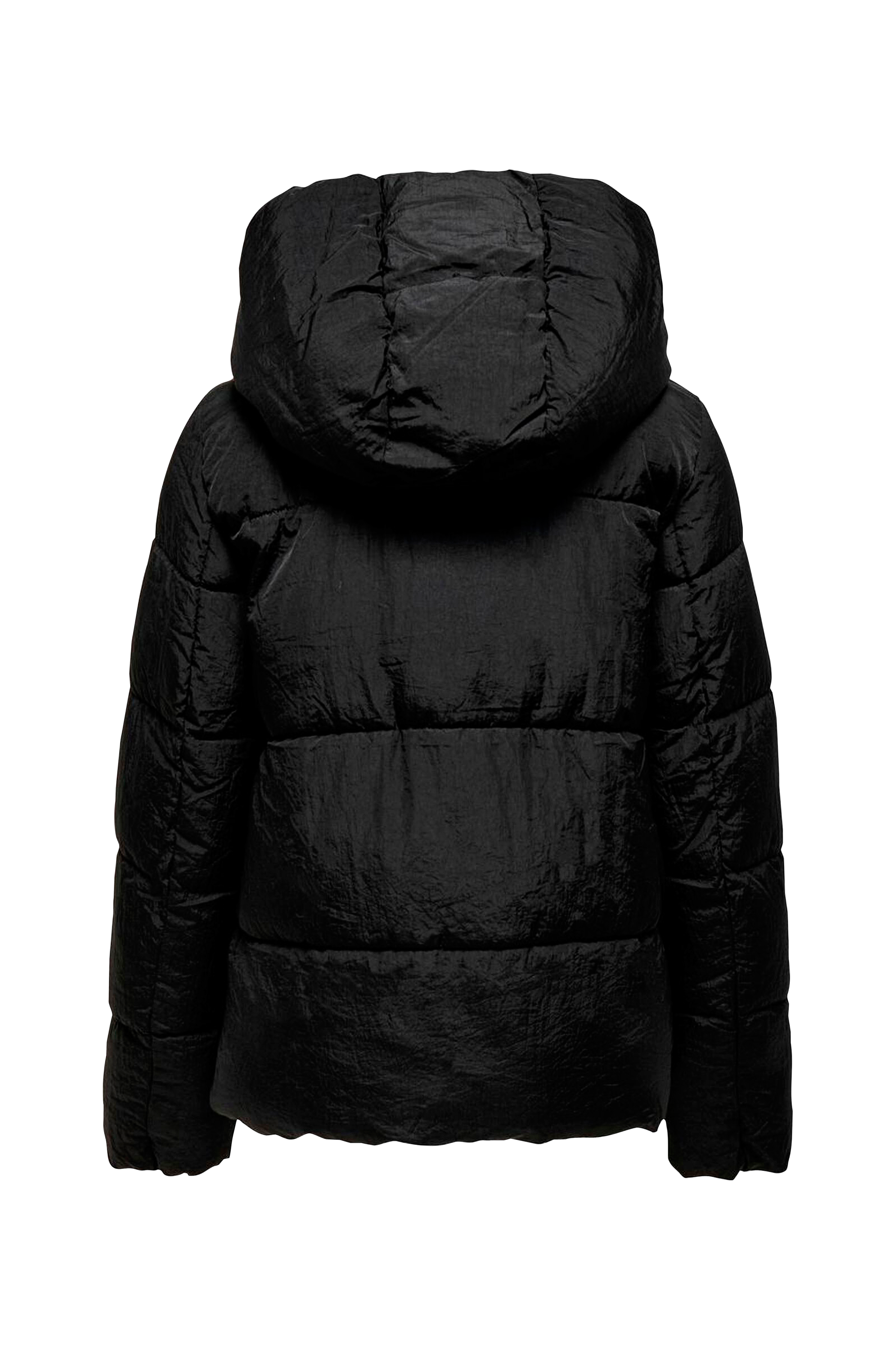 ONLY ONLNEWSYDNEY SARA PUFFER JACKET - Winterjas - toasted coconut/bruin