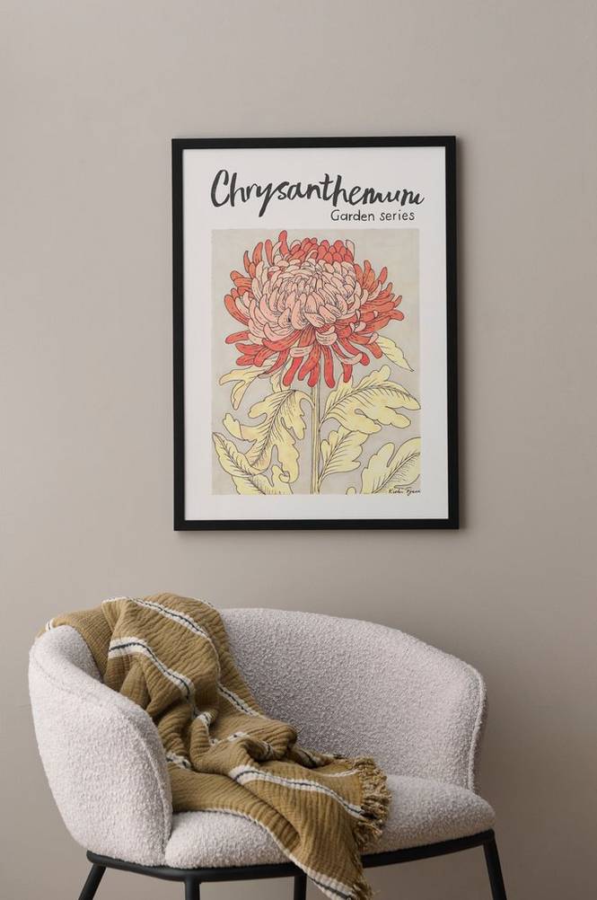 Poster Chrysanthemum