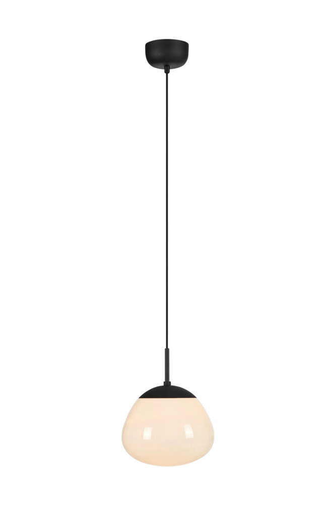 Pendel RISE 1L