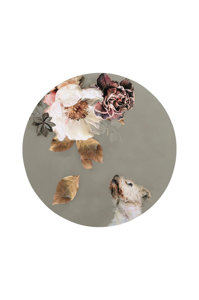 Tavla Pet Couture 2