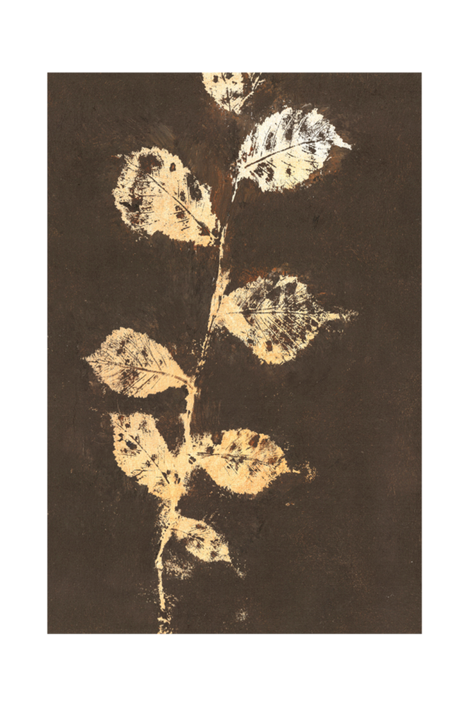 Poster Pure Nature 4