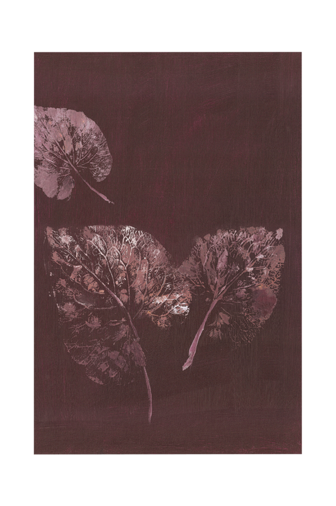 Poster Pure Nature 5