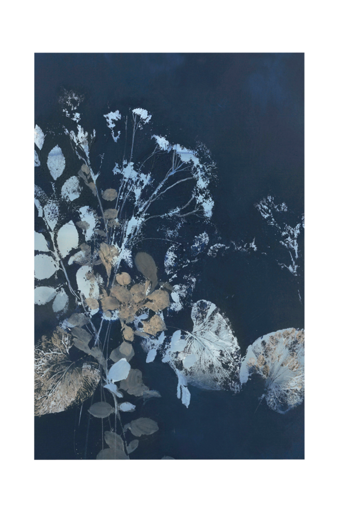 Poster Pure Nature 7